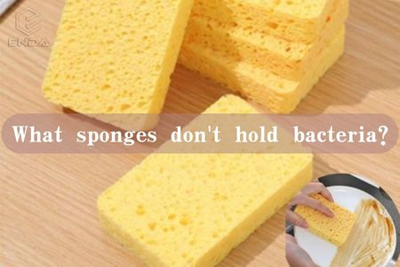 什么海绵不会滋生细菌？
