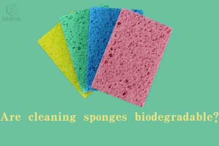 清洁海绵可生物降解吗？