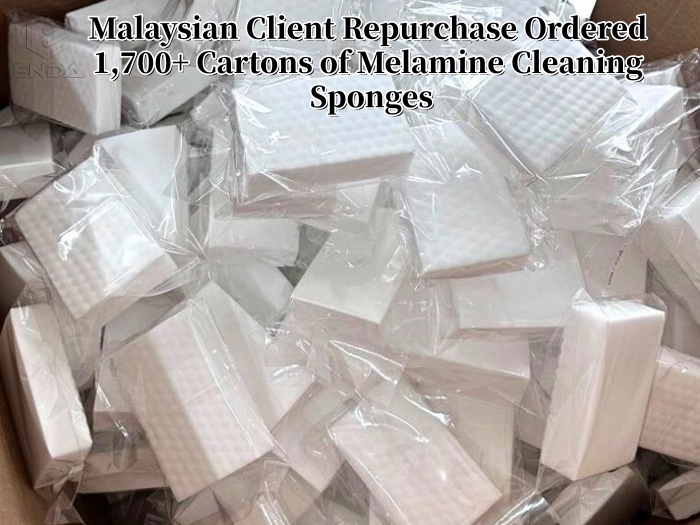 河南恩达推出30片神奇海绵包装-可提供定制解决方案